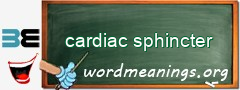 WordMeaning blackboard for cardiac sphincter